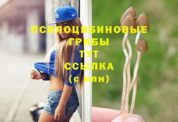 mix Медногорск