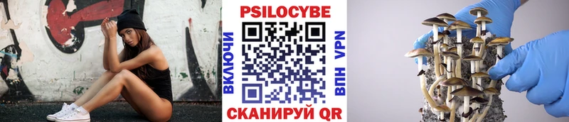 Псилоцибиновые грибы прущие грибы  где продают наркотики  Калининск 